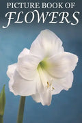Picture Book of Flowers: For Seniors with Dementia, Memory Loss, and Confusion (Large Print Text) - Paperback