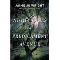 Night Falls on Predicament Avenue - Paperback