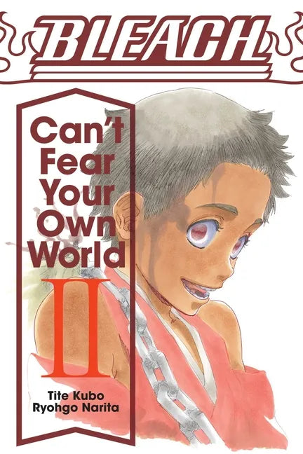 Bleach: Can't Fear Your Own World, Vol. 2 - Paperback