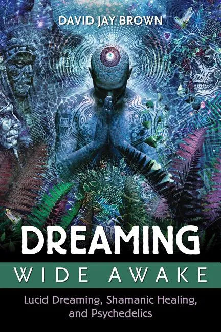 Dreaming Wide Awake: Lucid Dreaming, Shamanic Healing, and Psychedelics - Paperback