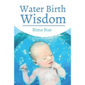 Water Birth Wisdom - Paperback
