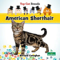 American Shorthair - Paperback
