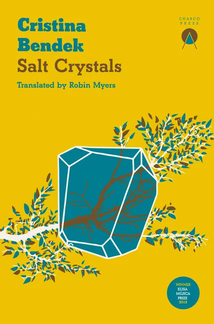 Salt Crystals - Paperback