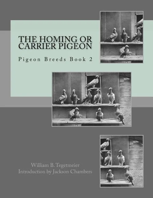 The Homing or Carrier Pigeon: Pigeon Breeds Book 2 - Paperback
