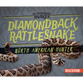 Diamondback Rattlesnake: North American Hunter - Library Binding