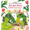 Are You There Little Bunny - Board Book