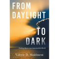 From Daylight to Dark: Finding Work in an Inaccessible World - Paperback