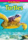 Turtles - Paperback