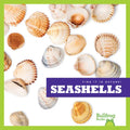 Seashells - Library Binding