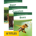 Neighborhood Safari Set 2 (Set of 8) - Paperback