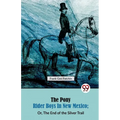 The Pony Rider Boys in New Mexico; Or, The End of the Silver Trail - Paperback