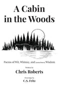 A Cabin In The Woods: Poems of Wit, Whimsy, and (sometimes) Wisdom - Hardcover