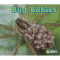 Bug Babies - Paperback
