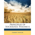 Principles of Sociology, Volume 6 - Paperback