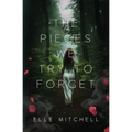 The Pieces We Try to Forget - Paperback