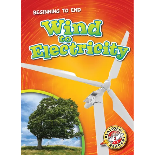 Wind to Electricity - Library Binding