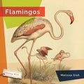 Flamingos - Paperback
