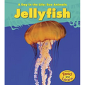 Jellyfish - Paperback
