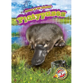 Platypuses - Library Binding