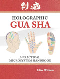 Holographic Gua sha: A Practical Microsystem Handbook - Paperback