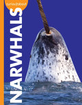 Curious about Narwhals - Paperback