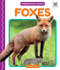 Foxes - Library Binding