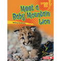 Meet a Baby Mountain Lion - Library Binding