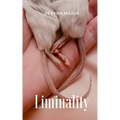 Liminality - Paperback