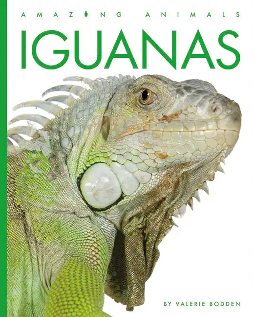 Iguanas - Paperback