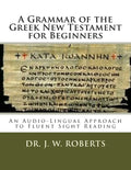 A Grammar of the Greek New Testament for Beginners - Paperback