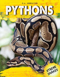 Pythons - Library Binding