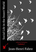 Social Life in the Insect World - Paperback
