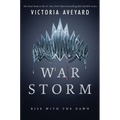 War Storm - Library Binding