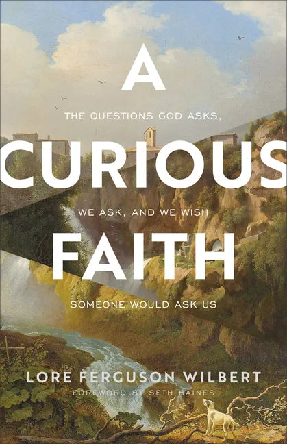 A Curious Faith: The Questions God Asks, We Ask, and We Wish Someone Would Ask Us - Paperback
