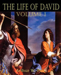 The Life of David Volume I - Paperback