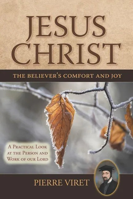 Jesus Christ the Believer's Comfort and Joy: A Practical Look at the Person and Work of Our Lord - Paperback