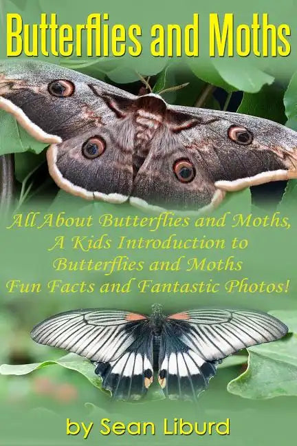 Butterflies and Moths: All about Butterflies and Moths, a Kids Introduction to Butterflies and Moths-Fun Facts and Fantastic Photos! - Paperback