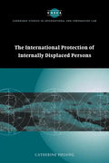 The International Protection of Internally Displaced Persons - Paperback