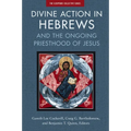 Divine Action in Hebrews: And the Ongoing Priesthood of Jesus - Paperback