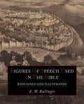 Figures Of Speech Used In the Bible Explained and Illustrated - Paperback
