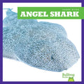 Angel Shark - Hardcover