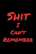 Shit I Can't Remember - Paperback