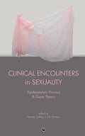 Clinical Encounters in Sexuality: Psychoanalytic Practice and Queer Theory - Paperback