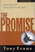 The Promise: Experiencing God's Greatest Gift - The Holy Spirit - Paperback