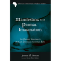 Manifesting the Primal Imagination: The Primal Spirituality of Black American Christian Faith - Paperback