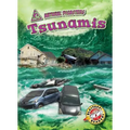 Tsunamis - Paperback