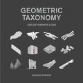 Geometric Taxonomy: Carlos Ferrater, Oab - Hardcover