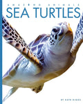 Sea Turtles - Paperback