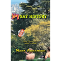 My Gay History: San Francisco 2003-2008 - Paperback