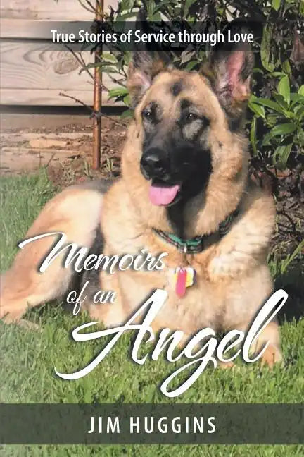 Memoirs of an Angel: True Stories of Service through Love - Paperback